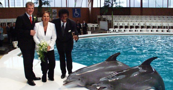 Phinsider Question of the Day - What Happened to Everyone with the Rookie Honeymoon Edition 04/26/2021

