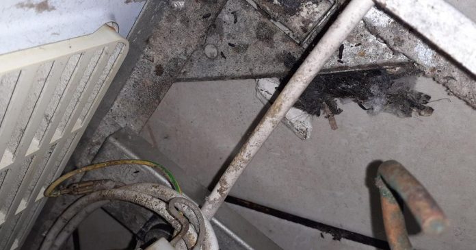 Derby restaurant closed due to mice needs big improvements

