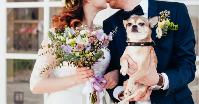 11 gorgeous Gloucestershire wedding suppliers to make your big day extra special
