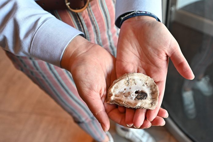 Va. Lawmakers Propose Tax Credits for Restaurants who Recycle Oyster Shells
